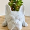 1pc Mini Resin PuppyFlower Pot, Succulent Planter, French Bulldog Shape Cute Bonsai Flower Pots, Cute Dog Flower Pots, Air Plant Holder