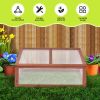 Outdoor Indoor Garden Portable Wooden Greenhouse