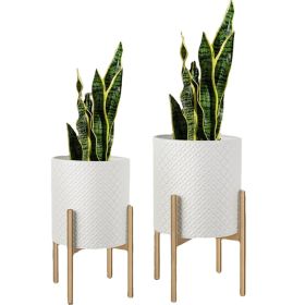 Planters for Indoor Plants Set of 2, Modern Decorative Plant Pots for Living Room, Garden, White Planters with Glod Plant Stands